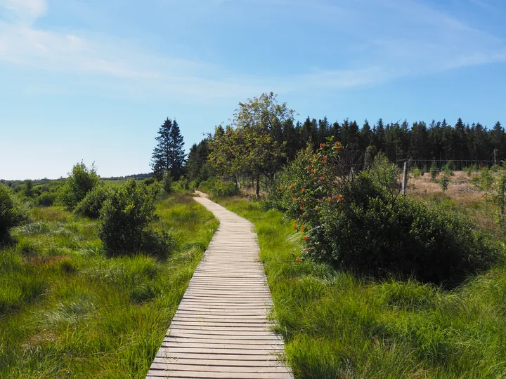 Signal de Botrange (België)